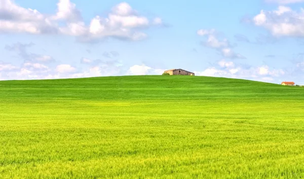 Zielona trawa pejzaż pole pod błękitne niebo na wiosnę — Zdjęcie stockowe