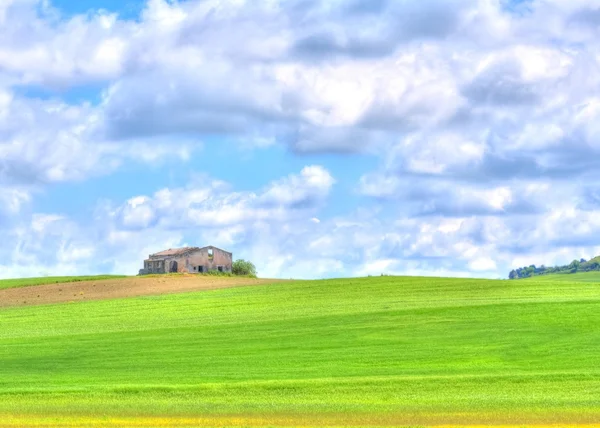 Paisagem campo de grama verde sob céu azul e nuvens — Fotografia de Stock