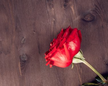 eski ahşap, eski stil, Sevgililer günü ve sevgi kavramı iki kırmızı gül görünümünün üst