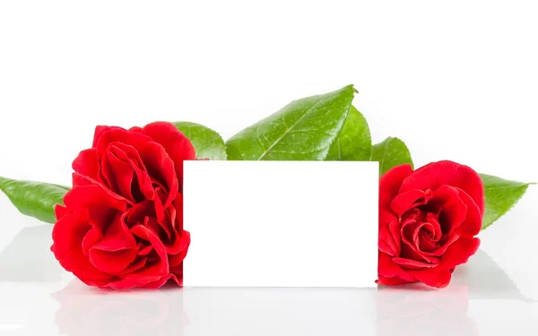 Dos rosas rojas y una tarjeta de regalo en blanco para texto sobre fondo blanco — Foto de Stock