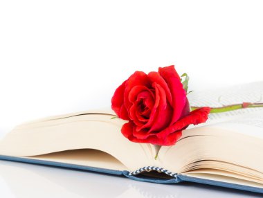 kitap beyaz zemin üzerine kırmızı gül