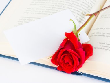 metin için boş hediye kartı ile açık kitap üzerine kırmızı gül