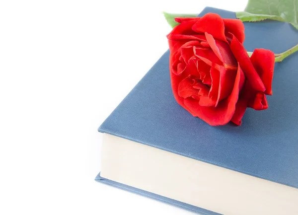テキスト用のスペースと閉じた本の赤いバラ — ストック写真
