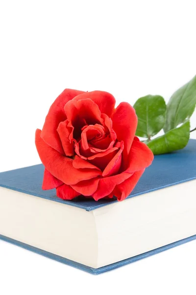 Detal z czerwoną różą na książki zamknięte — Zdjęcie stockowe