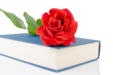 metin alanı olan kapalı kitap üzerinde kırmızı gül