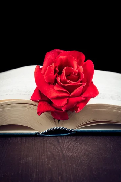 Rote Rose auf dem offenen Buch — Stockfoto