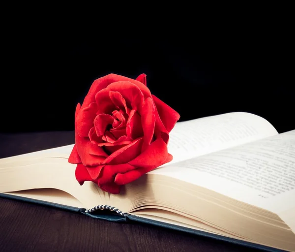 Rote Rose auf dem offenen Buch mit Platz für Text — Stockfoto