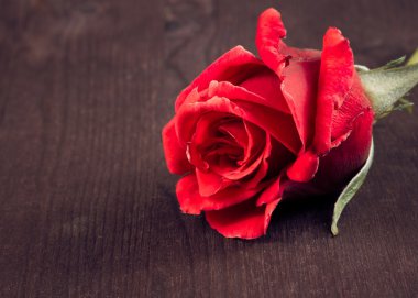eski ahşap, eski stil, arka plan, Sevgililer günü ve sevgi kavramı kırmızı gül