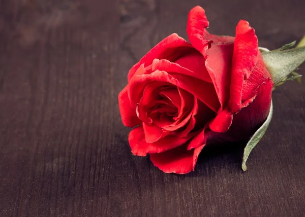 eski ahşap, eski stil, arka plan, Sevgililer günü ve sevgi kavramı kırmızı gül