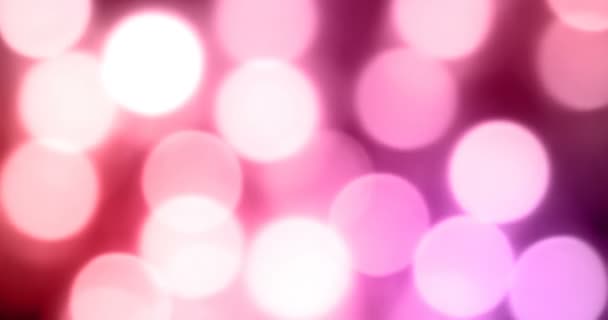 Рожевий і фіолетовий боке світло — стокове відео