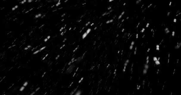 Christmas black background with snowflakes falling snow from — Stock Video