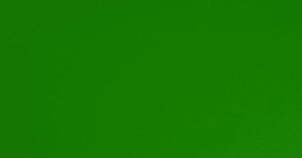 Abstracte verfvorm wit licht stromend en wassend op chroma key groen — Stockvideo