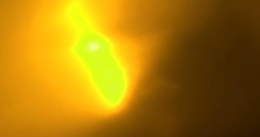 Gerçek ışık sızıntıları ve mercek parlamaları, serin altın rengi.