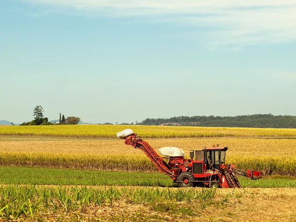 Червоний хутір машина тростини для зернозбиральних комбайнів на Австралійський сільськогосподарських земель Ліцензійні Стокові Зображення