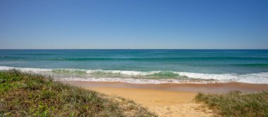   The Buddina foreshore with grassy vegetation on sand dunes and surf waves breaking on the sea shore. A peaceful scene on a calm, winter day in South East Queensland.
