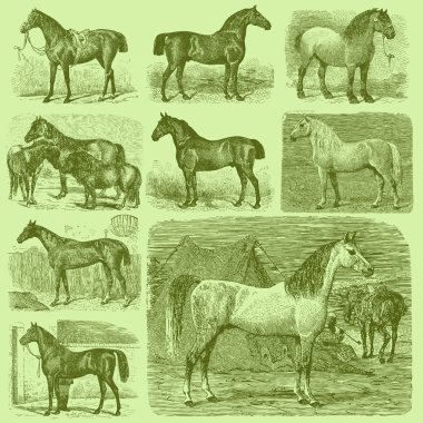 9 vintage oyulmuş atları kümesi