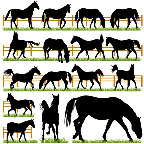 Ensemble de silhouettes de chevaux Illustration De Stock