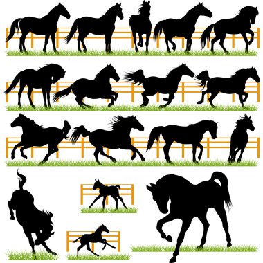 paarden silhouetten set