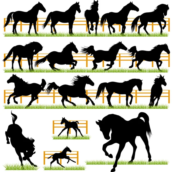 Ensemble de silhouettes de chevaux Vecteurs De Stock Libres De Droits