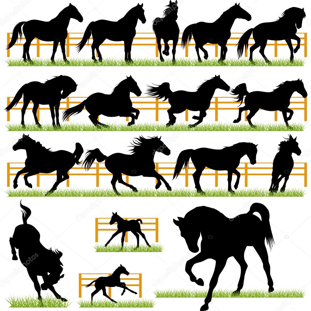 Horses Silhouettes Set