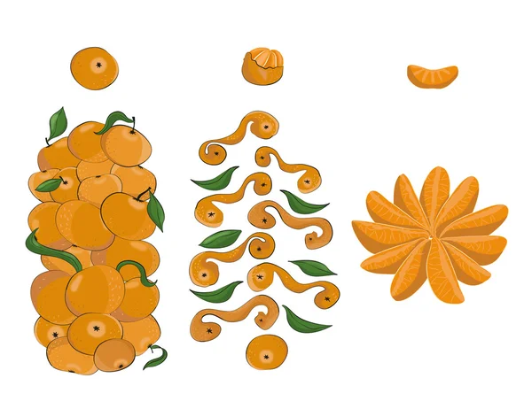 Conjunto de mandarinas — Vector de stock