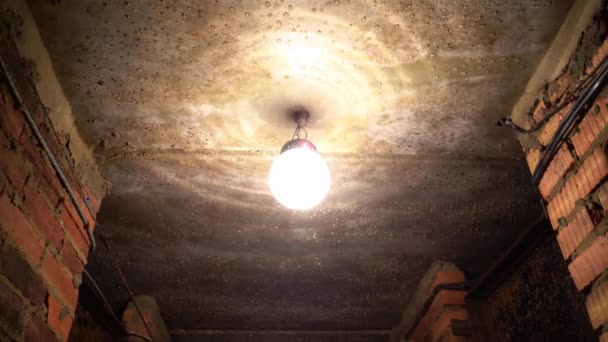 Une vieille lampe sale de forme ronde accrochée à un plafond en béton dans un sous-sol sombre, des fils sur un mur de briques — Video