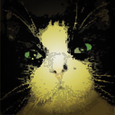 hipnotik yeşil kedi gözleri karanlıkta. vektör çizim