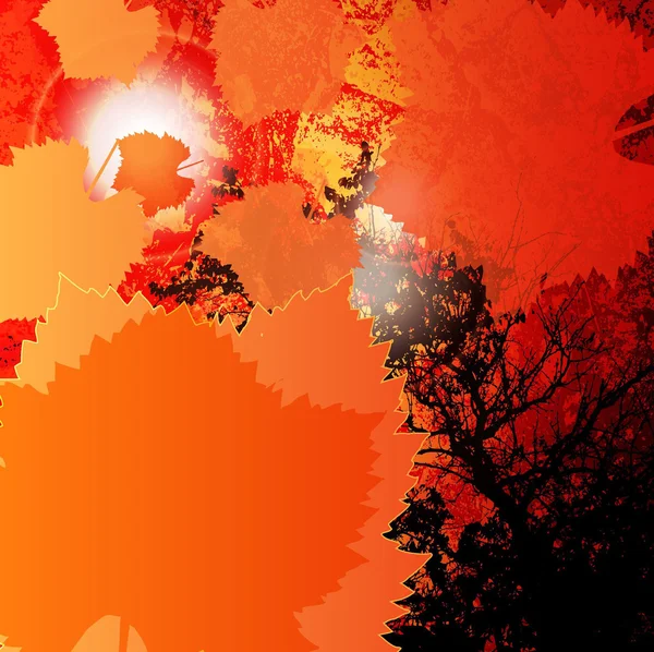 秋叶发黑的背景 — 图库矢量图片