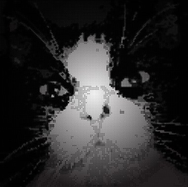 hipnotik yeşil kedi gözleri karanlıkta. vektör çizim