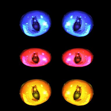 kedi gözleri. vektör çizim