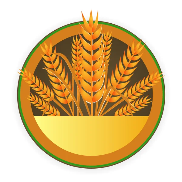 Modern wheat sign — Stock Vector