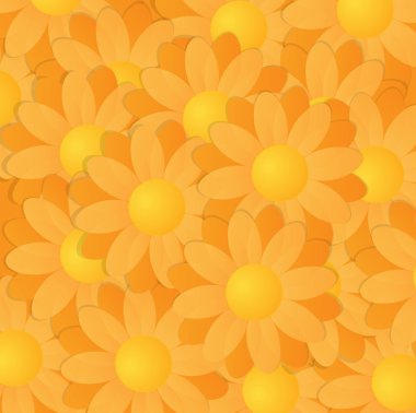 Sarı ve turuncu gerbera