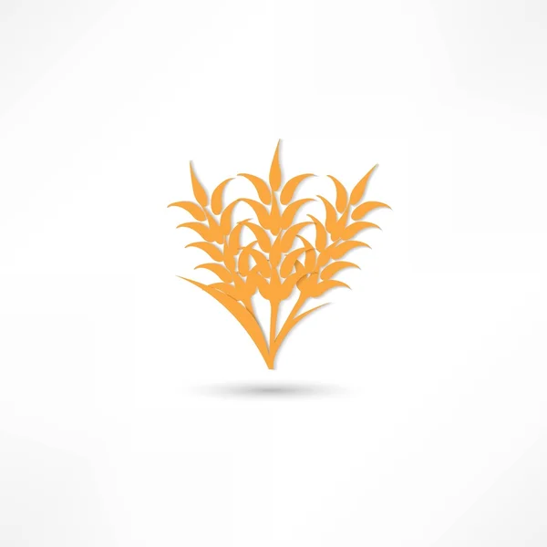 Telinga Wheat, Barley atau Rye vektor ikon grafis visual, ideal untuk kemasan roti, label bir dll. - Stok Vektor