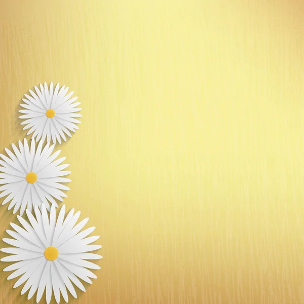 花カモミール背景 — ストックベクタ