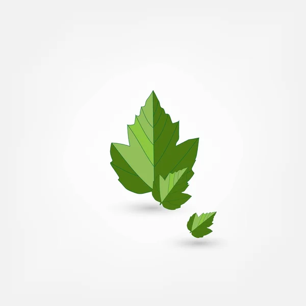 Maple leaf icon — Stock Vector