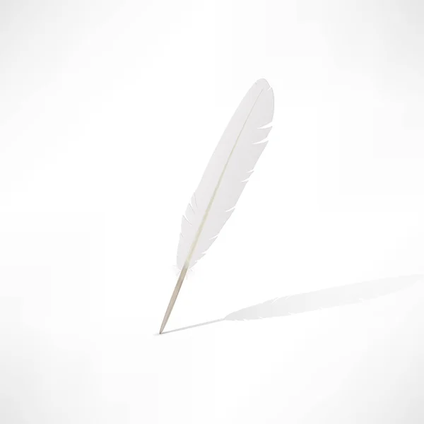 White feather — Stockvector