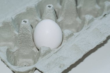 Kağıt tepside bir beyaz yumurtayı yakın plan çek. Beyaz arkaplanda minimalizm