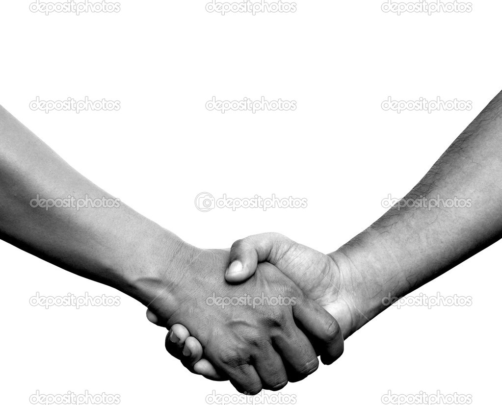 Handshake or hand in hand on white background
