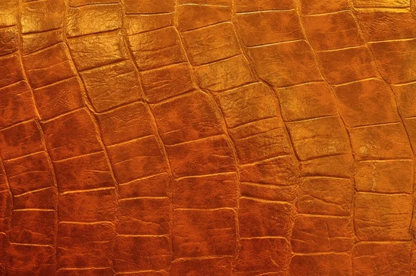 Polish Leather — Stock Photo, Image