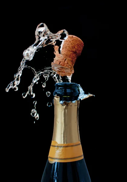 Champagne fles — Stockfoto