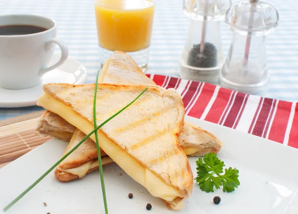 Toasted sandwich — Stock Photo, Image