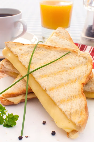 Toasted sandwich — Stock Photo, Image