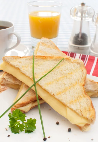 Toasted sandwich — Stock Photo, Image