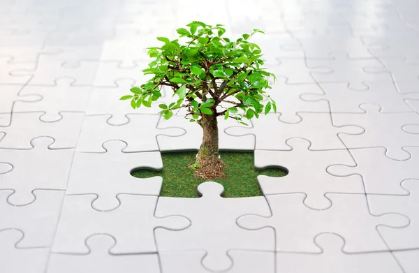 Jigsaw puzzle ağacı — Stok fotoğraf