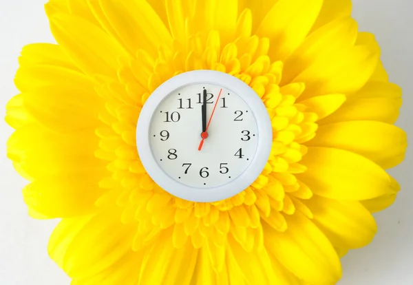 Spring clock — Stock Photo, Image