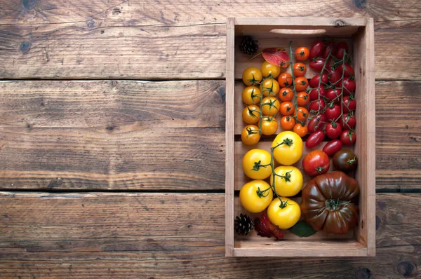 Caixa Tomate Fresco Incluindo Relíquia Laranja — Fotografia de Stock