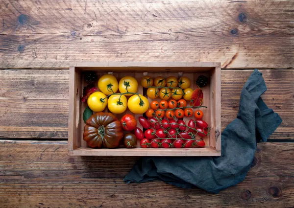 Holzkiste Mit Farbenfroher Auswahl Geernteten Tomaten Verschiedenen Sorten Wie Borange — Stockfoto