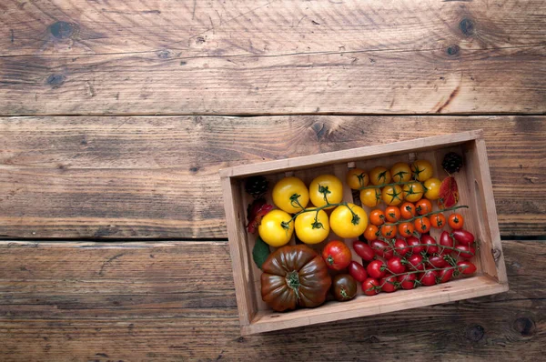 Dřevěná Krabička Pestrobarevným Výběrem Rajčat Nejrůznějších Odrůd Včetně Boranže Monterosy — Stock fotografie