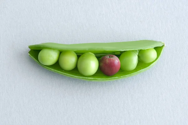 Pois Dans Une Gousse Avec Pomme Miniature Concept Alimentation Équilibrée — Photo