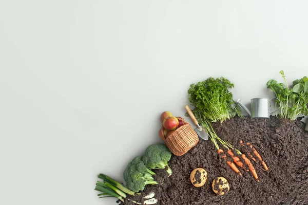 Frukt Och Grönsaker Som Odlas Cirkulär Trädgårdskompost Inklusive Morötter Potatis — Stockfoto